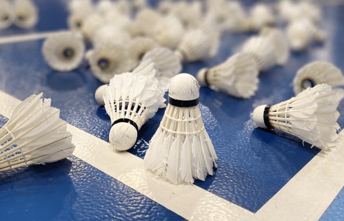 Club Helper | Membership | Badminton Scotland